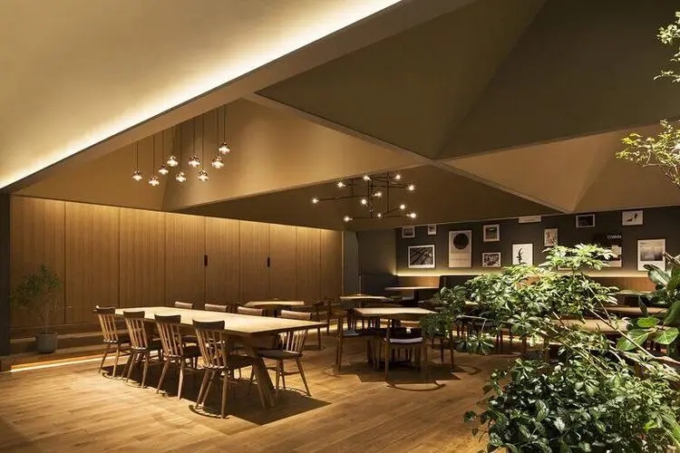 餐飲設(shè)計(jì)：塑造獨(dú)特空間，吸引食客目光